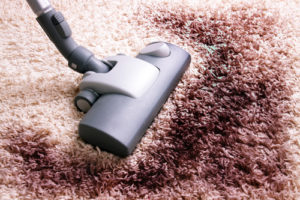Carpet Maintenance Tips for Humid Environments